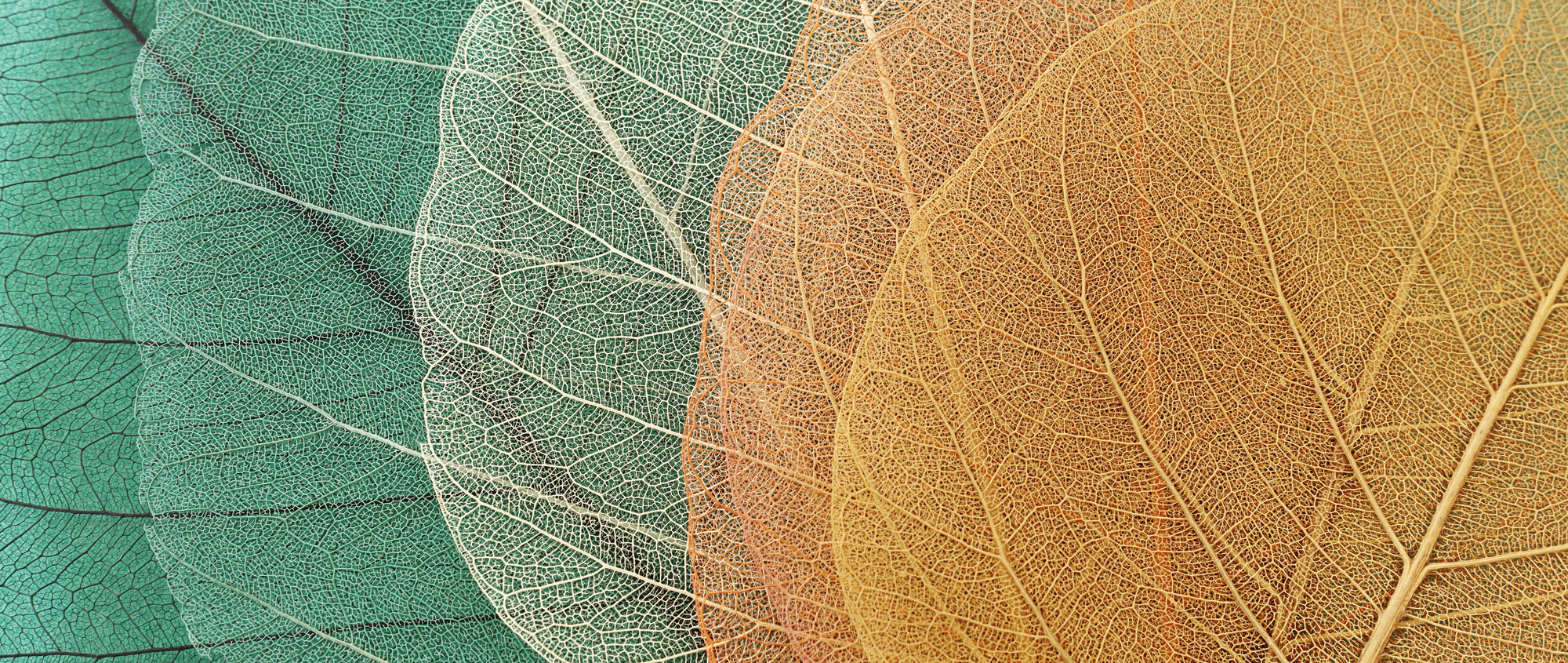 Charles Parsons Textiles